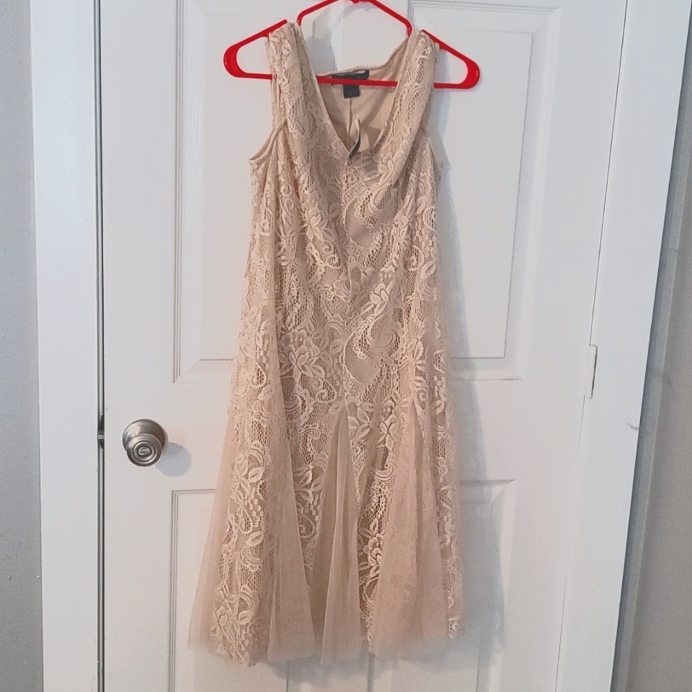Carradine petite, size PL, Beige  lace dress